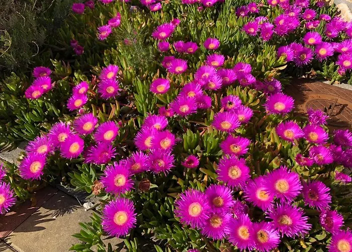 Ferienapartment Miramare Appartement *